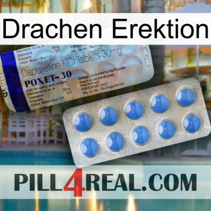 Dragon Erection 39